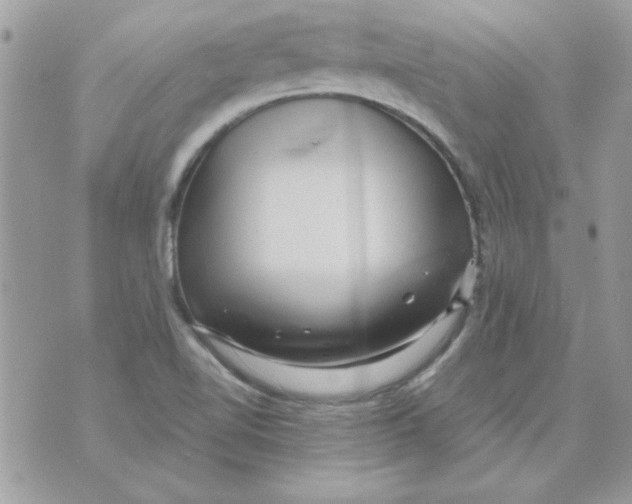 X0000071381510200607212159