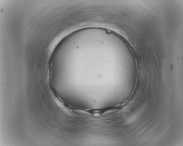 X0000071381511200607212159