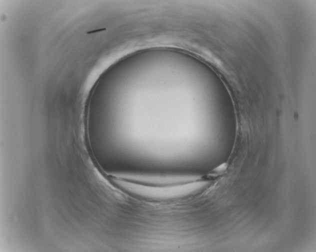 X0000071381512200607212159