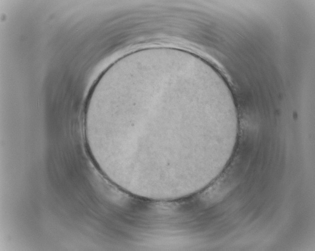 X0000071381514200607212159