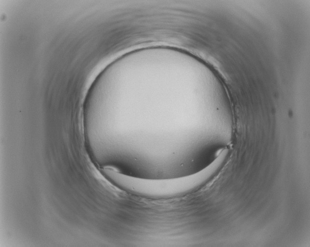 X0000071381516200607212159