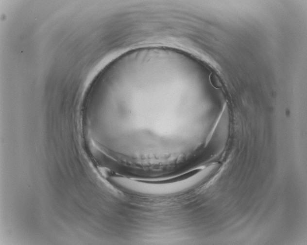 X0000071381517200607212159