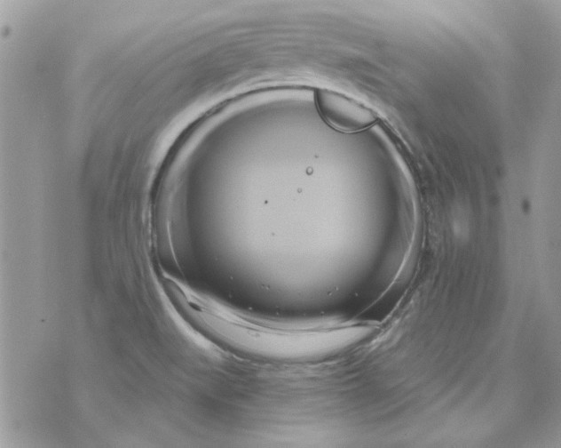 X0000071381519200607212200