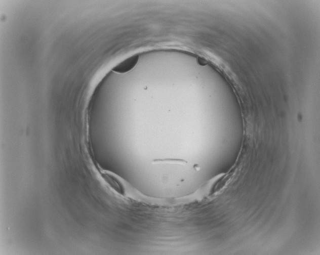 X0000071381520200607212200