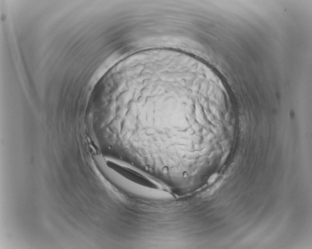 X0000071381521200607212200