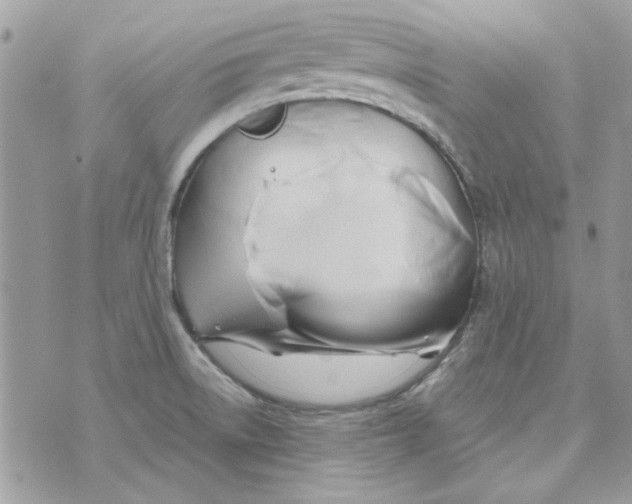 X0000071381522200607212200