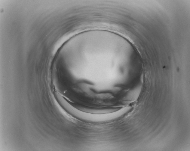 X0000071381523200607212200