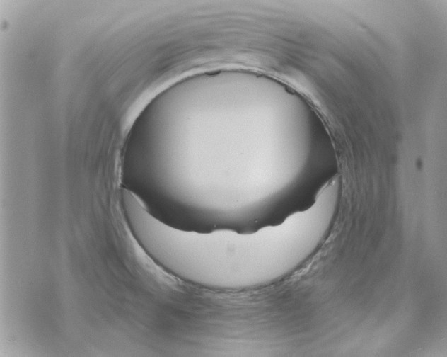 X0000071381524200607212200