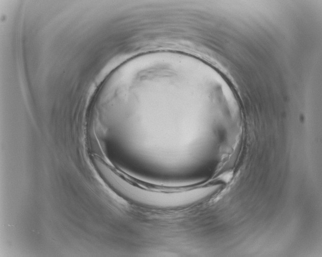 X0000071381525200607212200