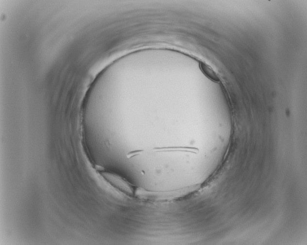 X0000071381526200607212200