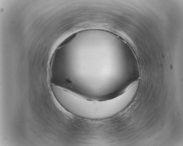 X0000071381528200607212200