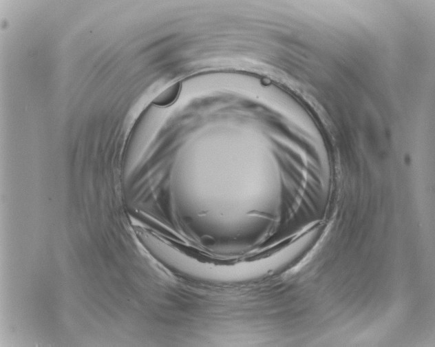 X0000071381529200607212200