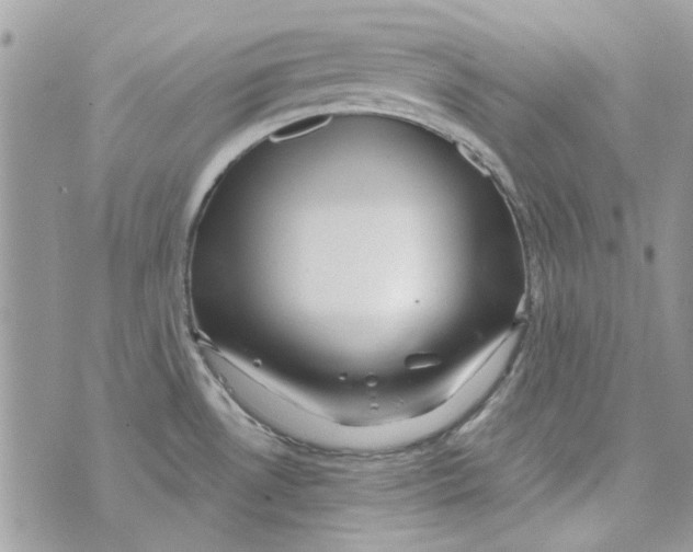 X0000071381530200607212200