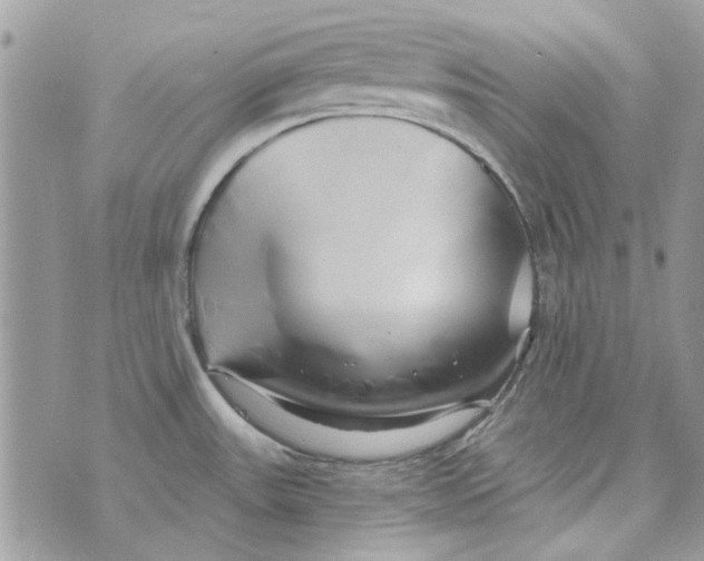 X0000071381531200607212200