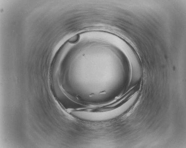 X0000071381533200607212200