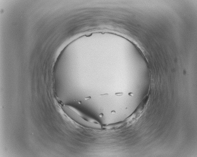 X0000071381534200607212200