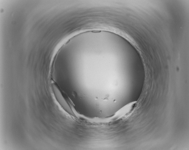 X0000071381536200607212200