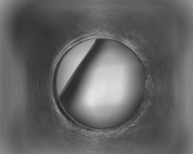 X0000071390007200606230952