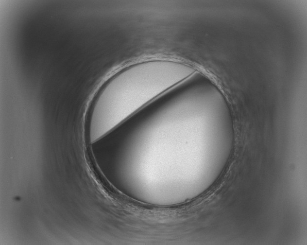 X0000071390008200606230952