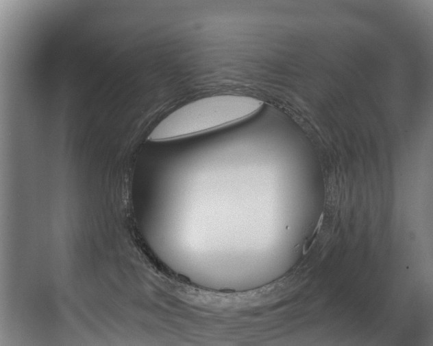 X0000071390043200606230951
