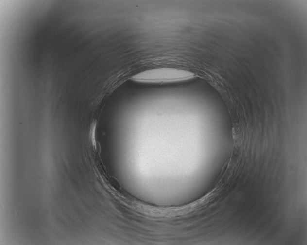 X0000071390047200606230951