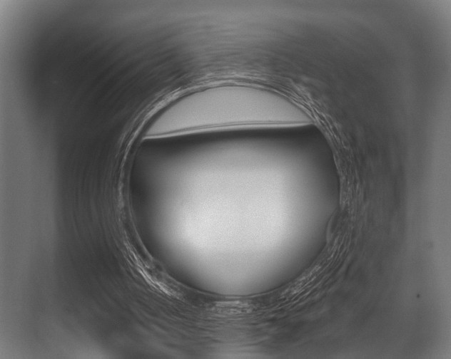 X0000071390050200606230950