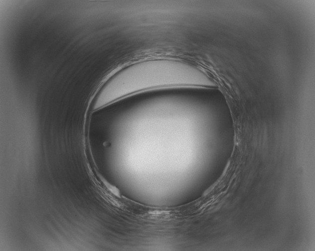 X0000071390052200606230950