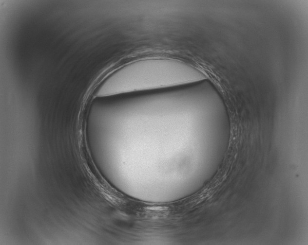 X0000071390053200606230950