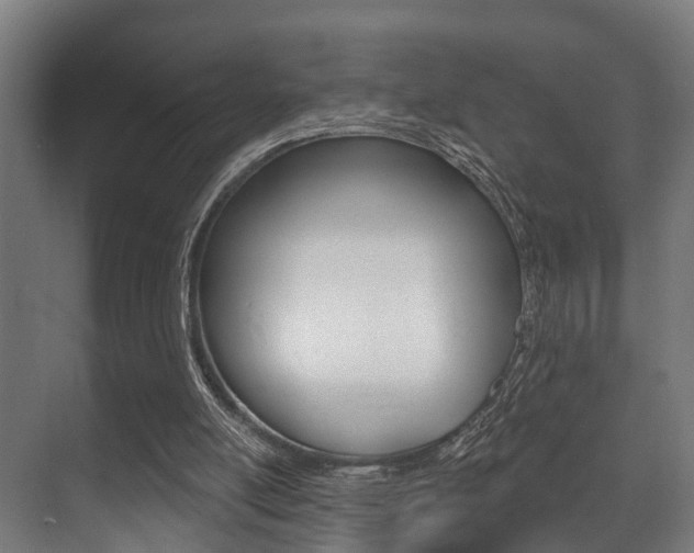 X0000071390054200606230950