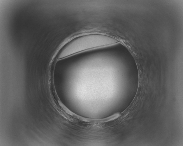 X0000071390056200606230950