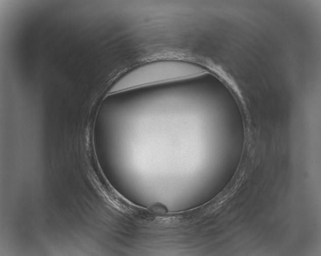 X0000071390057200606230950