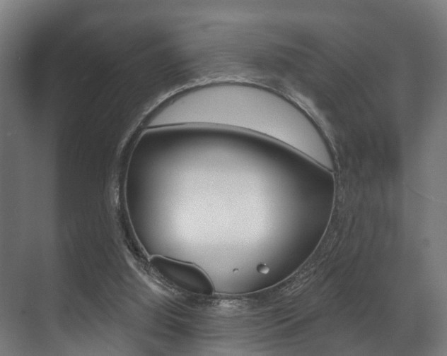 X0000071390060200606230950