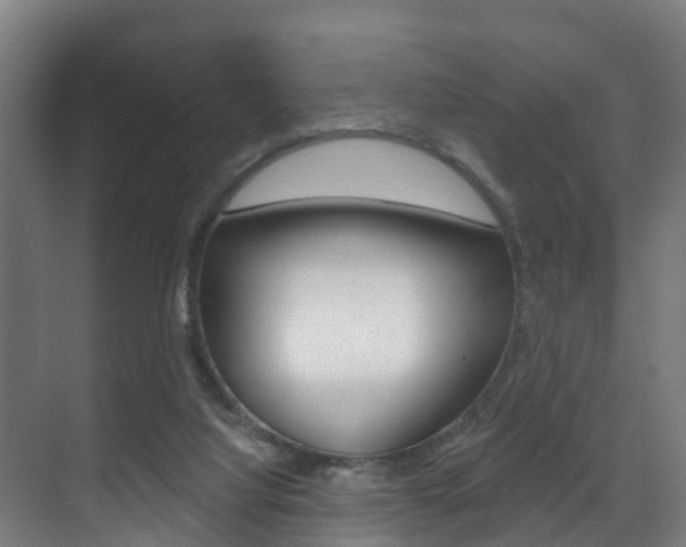 X0000071390068200606230950
