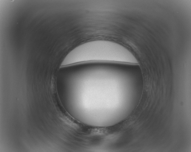 X0000071390077200606230951