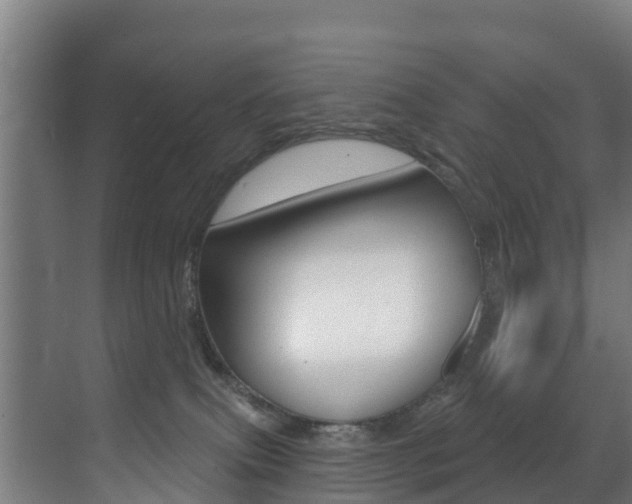 X0000071390087200606230951