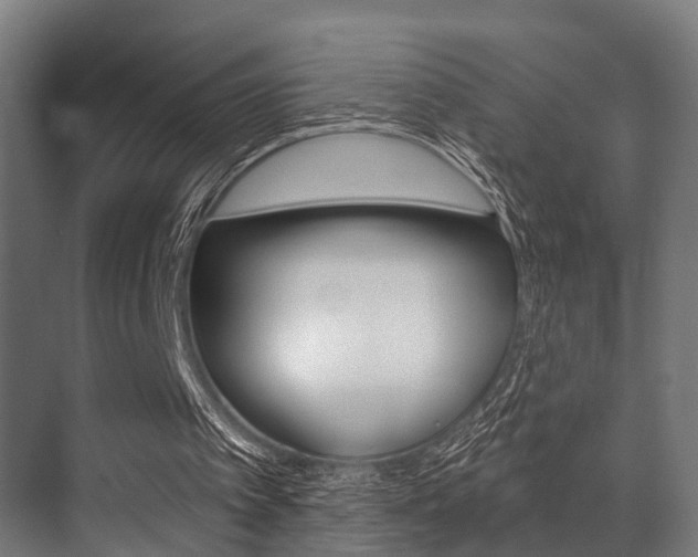X0000071390097200606230950