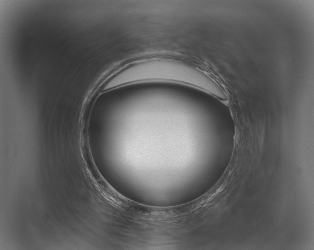 X0000071390101200606230950