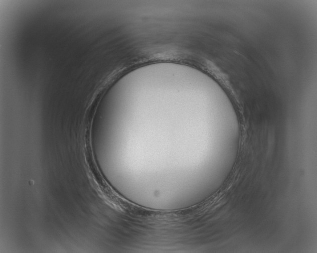 X0000071390106200606230950