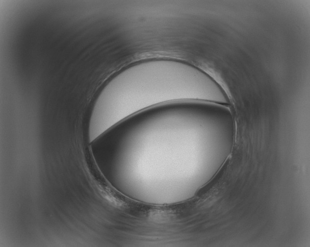 X0000071390109200606230950