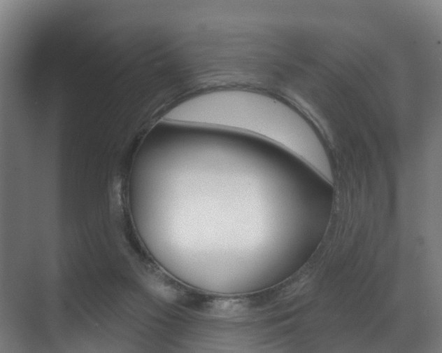 X0000071390117200606230950