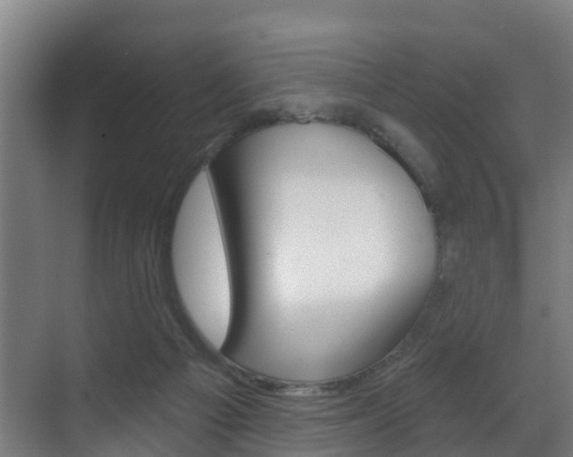 X0000071390121200606230950