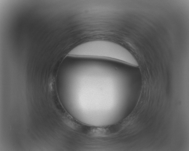 X0000071390125200606230950