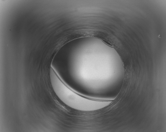 X0000071390141200606230949