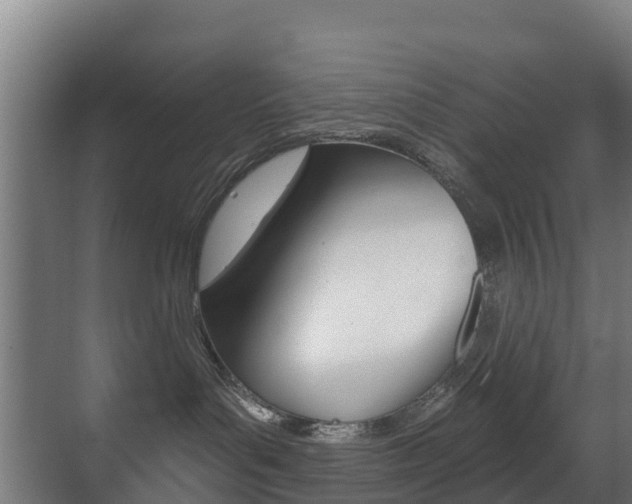 X0000071390143200606230949