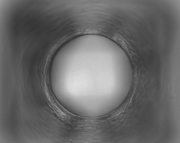 X0000071390145200606230948