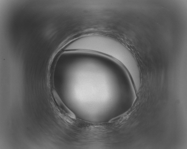 X0000071390150200606230949