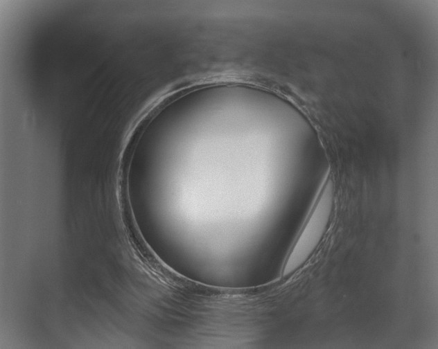 X0000071390152200606230949