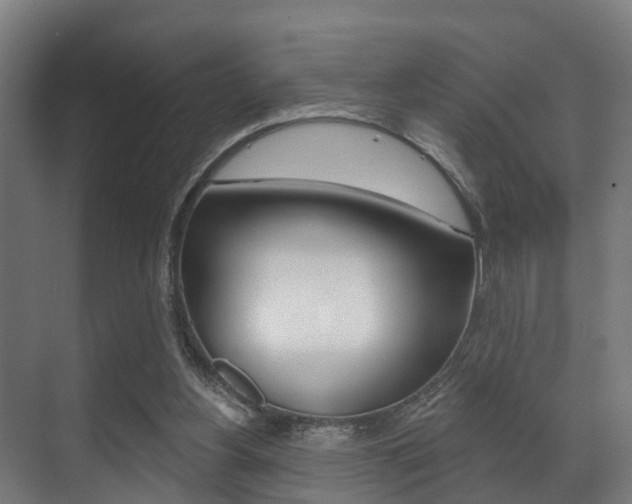 X0000071390156200606230949