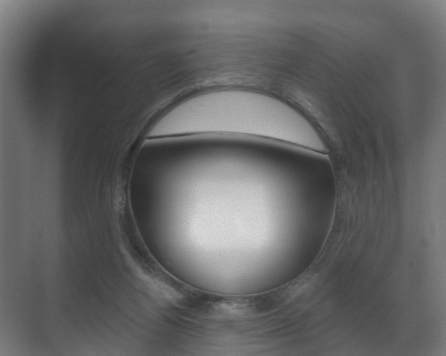 X0000071390164200606230949
