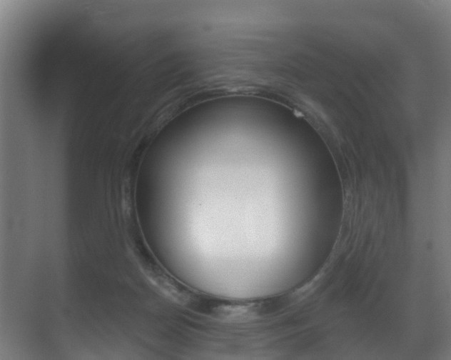 X0000071390170200606230949